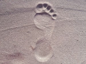 footprint-2624609_1920